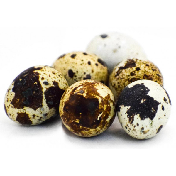 Buy Quail Eggs Online Kada Mutta NatureLoc